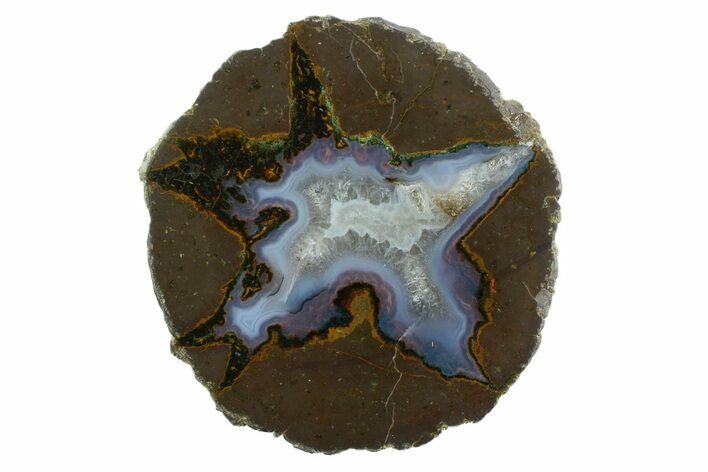 Colorful Polished Thunderegg Half - Nevada #337865